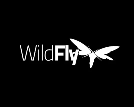 Exploring the WildFly Server: Uses, Benefits, and Comparison with Other Platforms